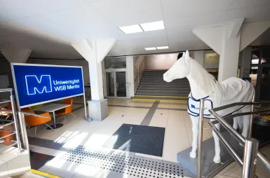 Search results | WSB Merito Poznań University: Poznań budynek CP