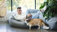 Psychologia | Studia jednolite magisterskie w Gdańsku | Uniwersytet WSB Merito w Gdańsku: Chłopak leży na puffie i bawi się szarpakiem ze szczeniakiem rasy corgi