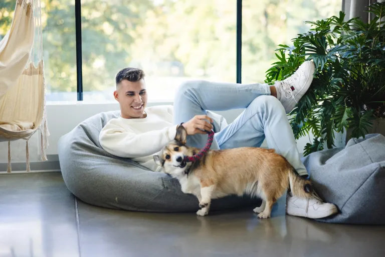 Psychologia w marketingu | Studia I stopnia w Gdańsku | Uniwersytet WSB Merito w Gdańsku: Chłopak leży na puffie i bawi się szarpakiem ze szczeniakiem rasy corgi