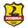 Bezpieczeństwo narodowe | Uniwersytet WSB Merito Łódź: Kobra