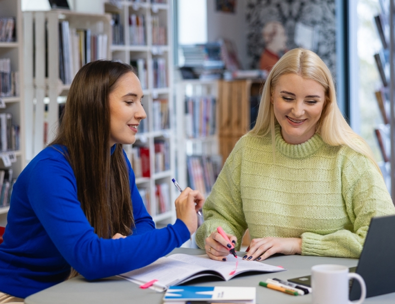 Przygotowanie pedagogiczne do wykonywania zawodu nauczyciela psychologa | Studia podyplomowe w Opolu | Uniwersytet WSB Merito Opole: Kobiety korzystające z laptopa