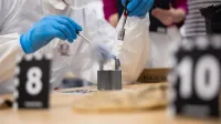 Administracja i bezpieczeństwo wewnętrzne | Studia II stopnia ze studiami podyplomowymi w Toruniu | Uniwersytet WSB Merito w Toruniu: Główna grafika: Toruń - studia I stopnia -